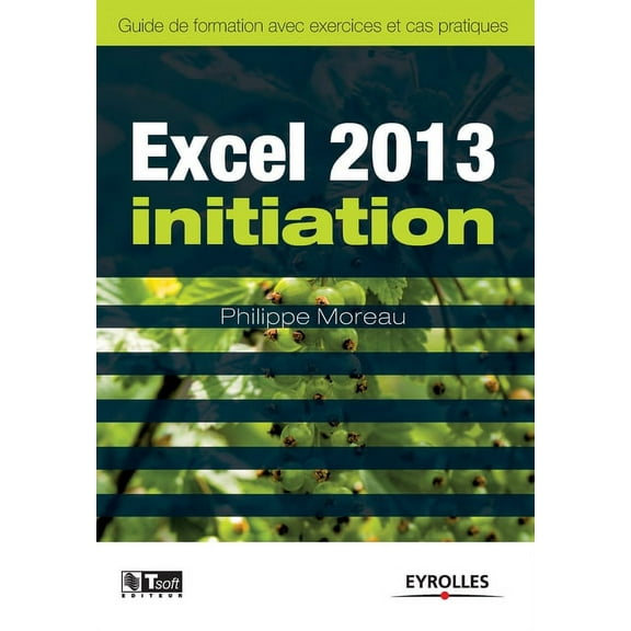 Excel 2013 initiation (Paperback)