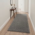 thumbnail image 3 of Hakki Supreme Super Soft Shaggy Area Rug – Plush High-Pile Fluffy Carpet for Living Room, Bedroom & Dorm, Non-Shedding, Durable Indoor Rug, 3 of 3