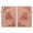 Pink, variant on Dteck Butterfly Pattern Case for iPad Air 11 inch 2024,Magnetic Leather Card Slots Wallet Case Shockproof Kickstand Cover for iPad Air 11-in. (M2) ,Brown
