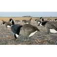 Canada Goose Flocked Head Silhouette Decoy