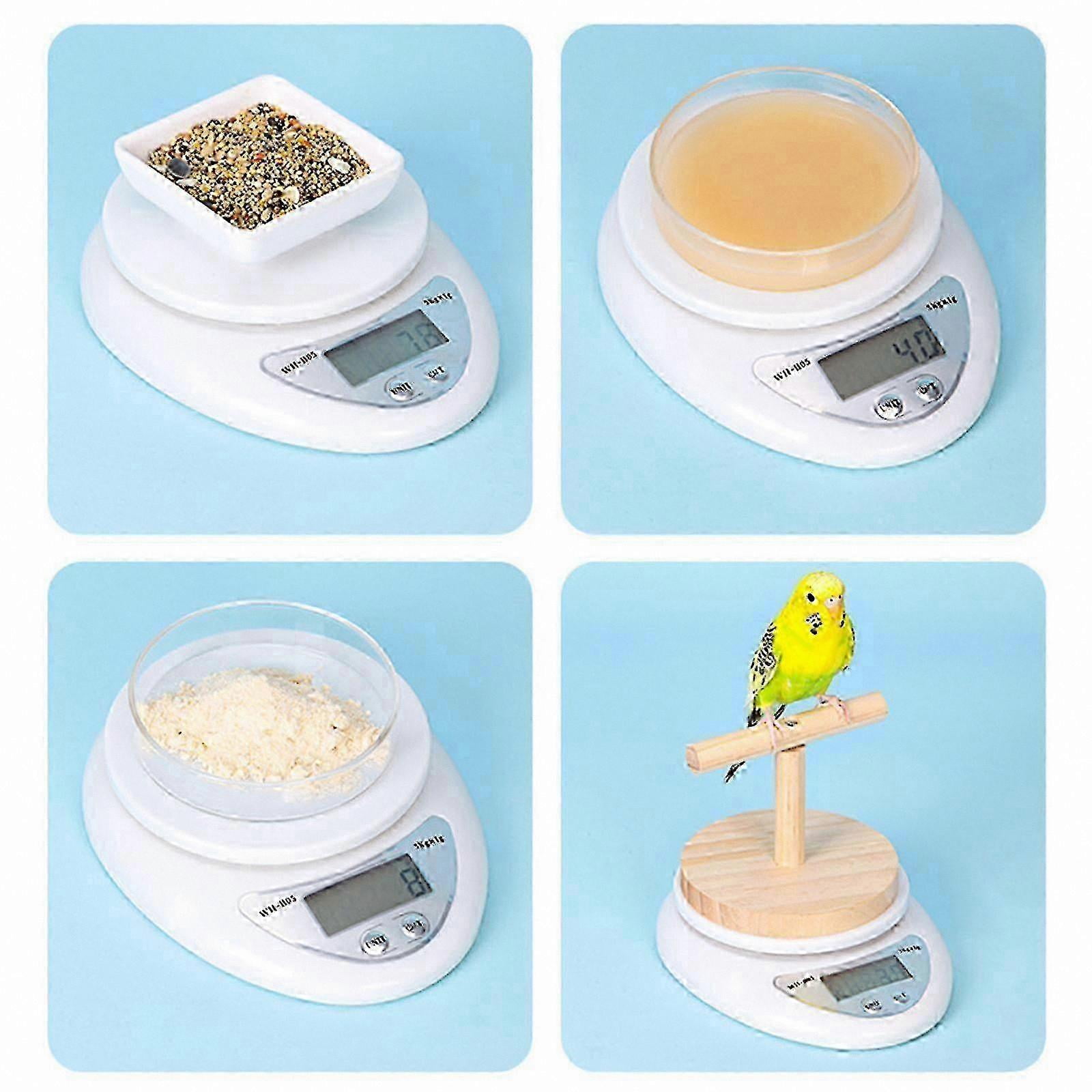 Digital Scale for Birds and Small Animals, 50kg Capacity, Multicolor Design