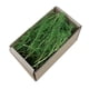 thumbnail image 1 of Césped en miniatura de simulación, paisajismo DIY, mechón tupido para jardín de hadas. Verano verde, 1 of 9