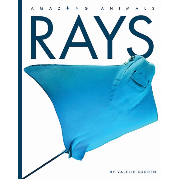 Amazing Animals Rays, (Paperback)