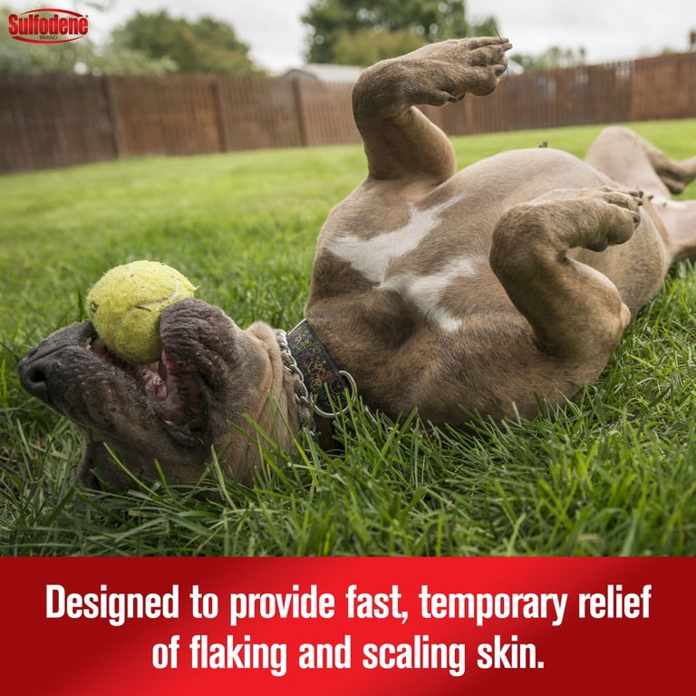 Sulfodene Medicated Dog Shampoo and Conditioner, Relieves Flaking