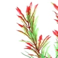 thumbnail image 7 of Unique Bargains 1 Pcs Aquarium Plants Decorations Artificial Aquatic Plants Red, 7 of 7