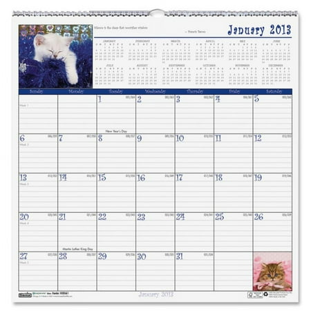 House of Doolittle Earthscapes Kittens Wall Calendar