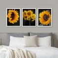 thumbnail image 3 of PixonSign Framed Canvas Print Wall Art Set - Vibrant Sunflower Garden Floral Botanical Poster Art - Set of 3 Nature Plants Photography Wall Décor for Living Room - 12"x16" White, 3 of 5