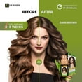 thumbnail image 2 of HERBBY Hair Color Shampoo for Gray Hair Coverage&Color Transform with 9 Herbal Extracts -Long Lasting (6-8 Weeks) Shiny Evenly Colored Instant Hair Dye Shampoo&Conditioner 500 Ml (DARK BROWN COLOR), 2 of 5