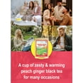 thumbnail image 4 of TeeLux Peach Ginger Black Tea, Brisk Black Tea with Spicy Ginger & Peach Flavor, Caffeinated, 100 Count, 4 of 8
