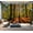 Color3, variant on Peel and Stick Wallpaper Forest Modern Art Wall Mural Decor Self Adhesive and Removable 100in x 144in