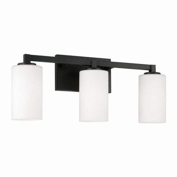 3 Light Bath Vanity In Minimalist Style-9.5 Inches Tall And 23 Inches Wide Capital Lighting 119831Bi-545