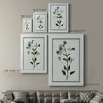 thumbnail image 4 of Shabby Chic Botanical II Premium Gallery Wrapped Canvas - Ready to Hang, 4 of 9