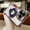 Darkpurple, variant on Magnetic for iPhone 11 Pro Max Case Clear with Ring Stand, MagSafe Compatible Case with Lens Protector, Military Grade Protection Four-Corners Shockproof Case for iPhone 11 Pro Max, Pink