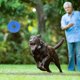 thumbnail image 4 of Durable Dog Squeaky Chew Toys For Aggressive Chewers Dental Teething Cleaning Soft Natural Rubber(blue), 4 of 5