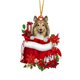 thumbnail image 1 of pstuiky Preciosa etiqueta navideña con flores y perro, adornos navideños, colgante para árbol de Navidad, decoración de árbol de Navidad estilo cabaña, árbol de Navidad verde, 1 of 4