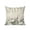 Beige, variant on Outdoor Pillows Waterproof, Thanksgiving Fall Bedding Throw Pillows with Insert for Couch Sofa Bed, Autumn Green Pumpkins Country Eucalyptus 12x20 Inch Pillowcases Decorative Patio Pillow Set of 2