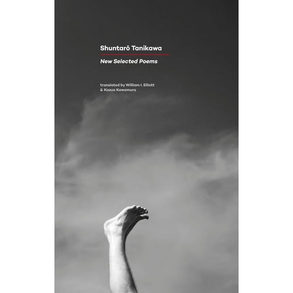 New Selected Poems, (Paperback)