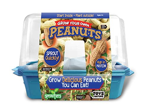 Toys by Nature - Grow Your Own Peanuts - Indoor Micro-Gardening Kits