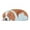 D, variant on Aihimol Non Slip Cute Pet Dog Themed Carpet,Welcome Floor Doormat Non Slip Floor Mat Summer Holiday Funny Novelty Door Mats for indoor Outdoor Holiday Decoration 34.25x15.74in