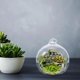 thumbnail image 3 of 12Pcs Household Decorative Globe Terrarium Succulent Hanging Planter Clear Glass Terrarium With Hook, 3 of 4