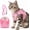 Pink, variant on Cat Harness and Leash, 2026 New Escape Proof Cat Leash and Harness Set for Small Medium Large Cats, Breathable Adjustable Vest Harnesses with Reflective Strip for Walking Travel Camping (Orange, S)