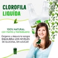 thumbnail image 5 of Clorofil Fresh Sabor Menta-Hierbabuena BEST HEALTH Concentrado de Clorofila Líquida 750 ml, 5 of 5