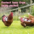 thumbnail image 3 of ¡Grandes ahorros para las fiestas! 2022, silla de montar para gallinas, delantal para gallinas con correa elástica, correa para chaqueta de gallina, protector para aves, fijador de plumas para, 3 of 6