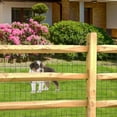 thumbnail image 4 of Black PVC Coated Welded Wire Fence 36IN x 99FT, 16 Gauge 2/3 Inch Mesh Heavy-Duty Vinyl Coated Metal Wire Fencing for Garden, Pet, Chicken & Rabbit Protection, 4 of 14