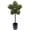 Patriotic Star Topiary Tree - A A8, variant on Independence Day 3ft Patriotic Star Topiary Tree - Artificial Green Foliage Potted Plant, Patriotic Star Shaped Decor for Independence Day, Christmas, Front Porch & Indoor Home Decoration