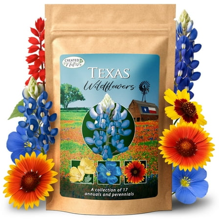 Texas Wildflower Seed Mix with Texas Bluebonnet Seeds, 17 Varieties, 60,000  Flower Seeds - Created By Nature