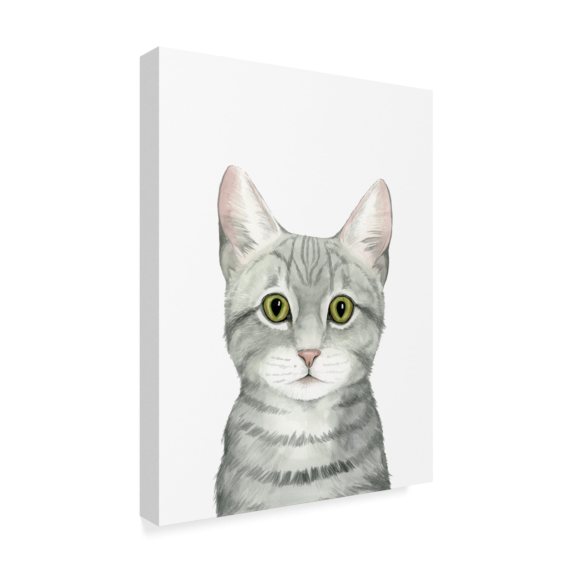 Trademark Fine Art 'Cat Portrait III' Canvas Art by Grace Popp