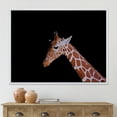 thumbnail image 2 of Designart 'Portrait of A Giraffe On Black Background I' Farmhouse Framed Canvas Wall Art Print, 2 of 5