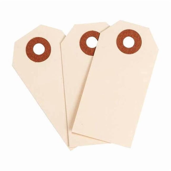 Brady Blank Tag,Cardstock,Manila,PK1000 102040