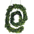 thumbnail image 1 of Modern Home 12" Real Preserved Boxwood Monogram Wreath Letters - @, 1 of 2