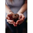 thumbnail image 2 of Click and Grow Smart Garden Dill Plant Pods, 3-Pack, 2 of 5