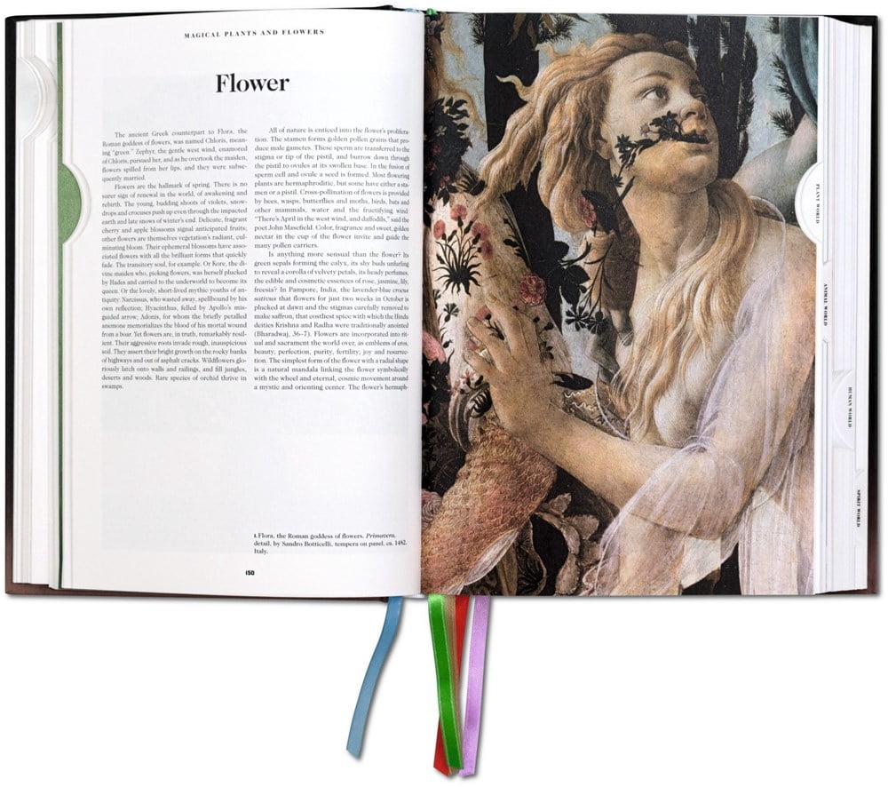 The Book of Symbols. Reflections on Archetypal Images, (Hardcover