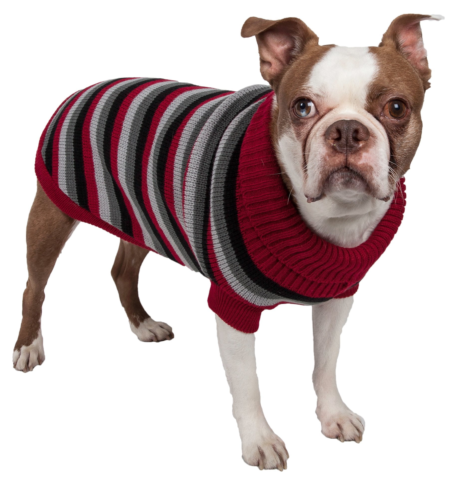 polo sweater for dogs