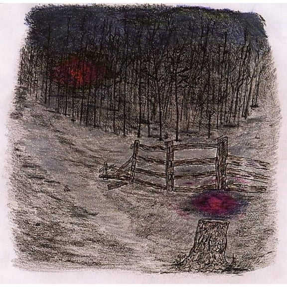 Telepathe - Farewell Forest - Music & Performance - CD