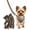 Bronze, variant on Big Chain Leash for Small Dog Funny, Iron Paw Leash Funny 6FT Plastic Fake & Funny Big Chain Leash for Chihuahua Poodle and PuppiesPCPC