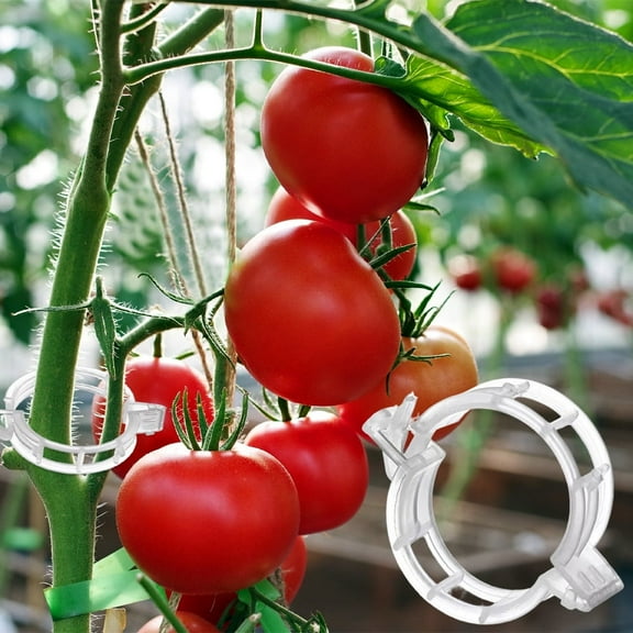 110 Pcs Plant Clips For Climbing Plants - Plant Support Clips - Garden Clips To Grow Upright Makes Plants Healthier - Plastic Trellis Clips Tomato Grape Vine Vegetables Plant Fixing Clips