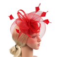 thumbnail image 5 of VISALY fascinators hats for women Fascinators Hats for Women Tea Party | Teal Fascinators Hats Fastener Hats Tea Party Bridal Net Hair Accessories Fascinators Hats White Fascinators Hats XXL, 5 of 8