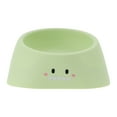 thumbnail image 1 of Tazón para cachorros antideslizante de 1 pieza para camping interior y exterior, plástico verde, 1 of 4
