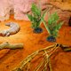thumbnail image 3 of BRIGHTFUFU Plantas de reptiles plantas de terrario artificial plantas reptiles hábitats de reptiles decoración de plantas con base, 3 of 7