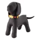 thumbnail image 2 of Collar Para Perros Gatos Mascotas Ajustable Mr Wuff, 2 of 4