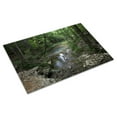 thumbnail image 3 of Print: Indian Baths At Old St. Stephens Park, St. Stephens, Alabama, 2010, 3 of 4