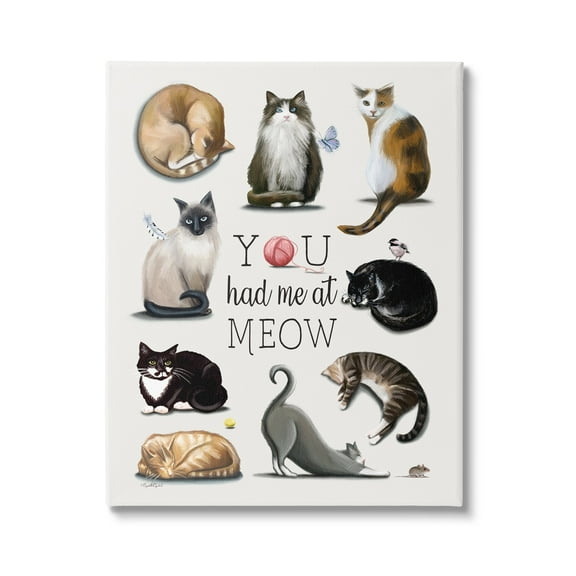 Stupell You Had Me At Meow Cat Pet Animals & Insects Painting Gallery Wrapped Canvas Print Wall Art