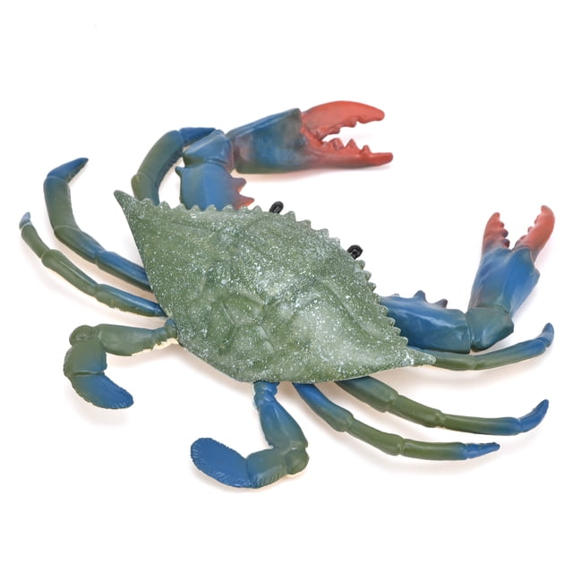 Modelo De Cangrejo, Plástico De Plástico De Plástico Juguete Marino Animal Para Niños Accesorios Educativos