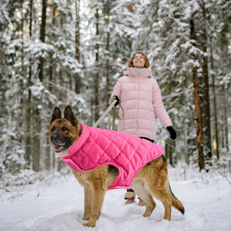 Big lots dog sweaters online