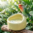 thumbnail image 6 of Ceramic Bird Feeder Bowl Anti-spill Parrot Food Water Dish Heavy-duty Small Pet Weaning Training Feeding Cup Cage Accessories for Lovebird Parakeet Cockatiel, 6 of 6