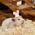 thumbnail image 3 of Adorable Hat for Small and Cats with Adjustable Strap Soft Breathable Outdoor, 3 of 5